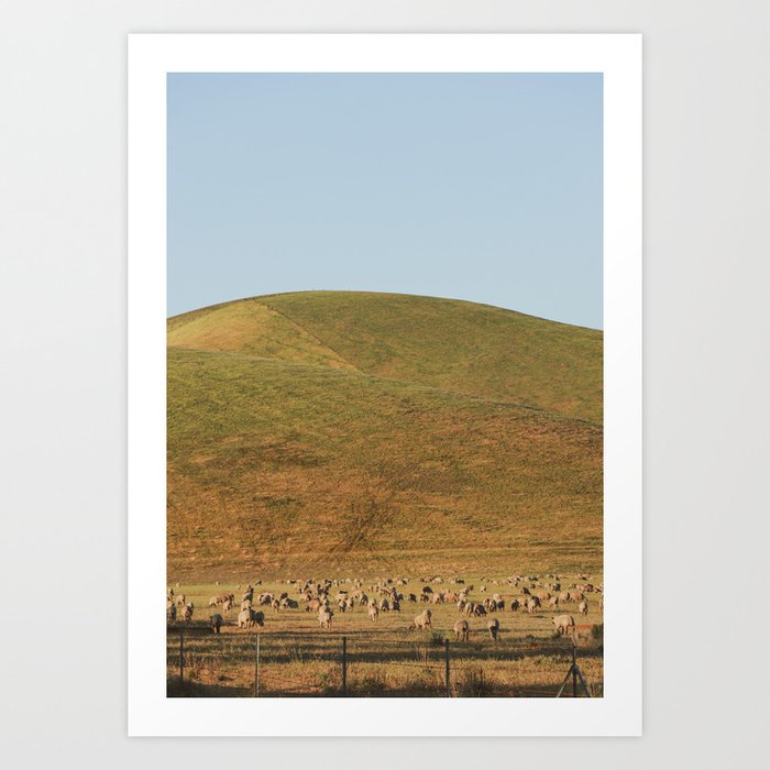 Flock on the Hills - San Luis Reservoir Art Print