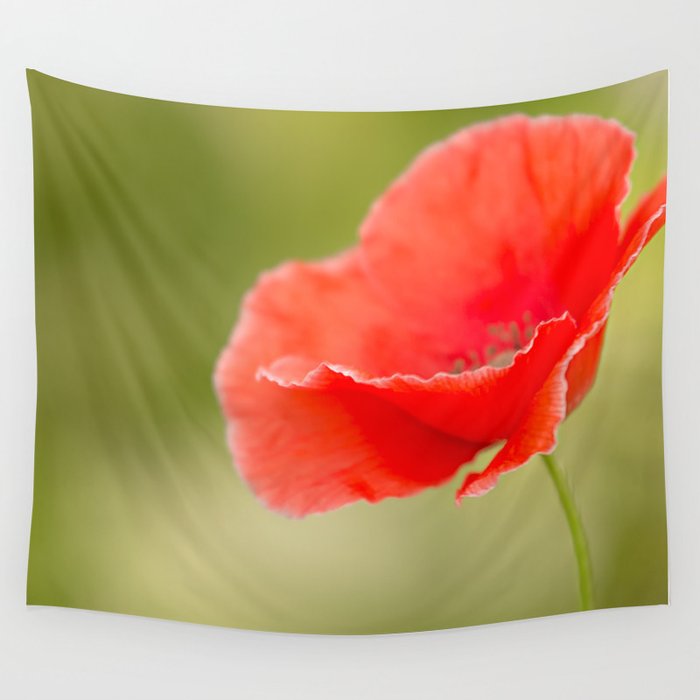 Miss you so much Red Poppy #decor #society6 #buyart Wall Tapestry