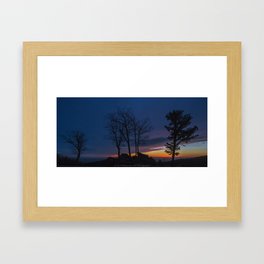 Four trees Framed Art Print