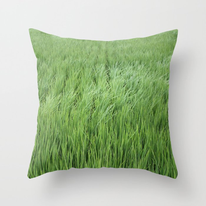 A rice field on a windy day Throw Pillow