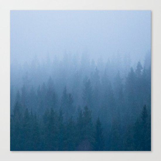 Foggy Forest Canvas Print
