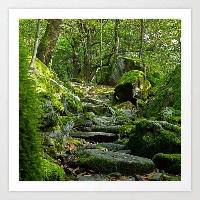 Switzerland Photography - Beautiful Stone Trail Going Through A Swiss Forest Art Print