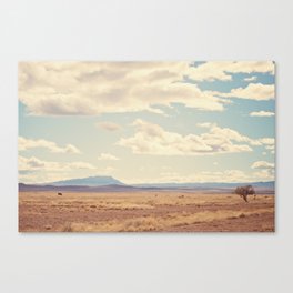 West Texas Canvas Print