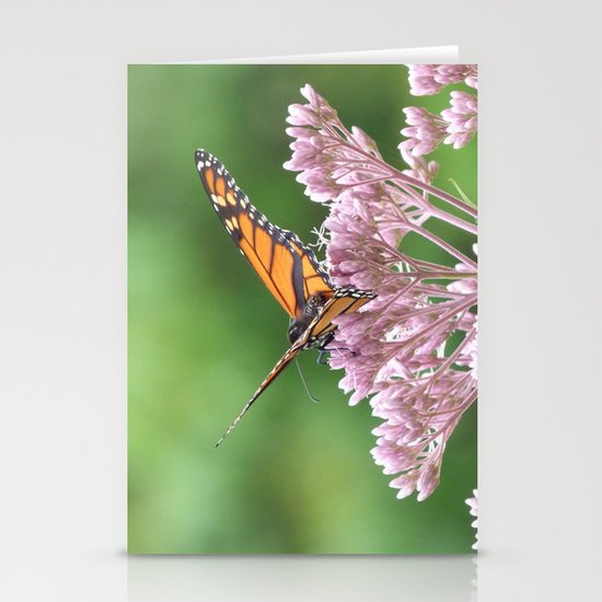 Butterfly Stationery Cards