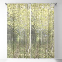 Nature Path in I Art and After Glow   Sheer Curtain