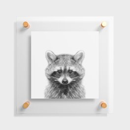 Baby Raccoon Floating Acrylic Print