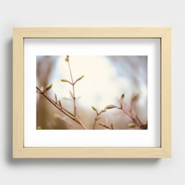 Dreamy Tree | Macro photography | Tree | Nature Recessed Framed Print