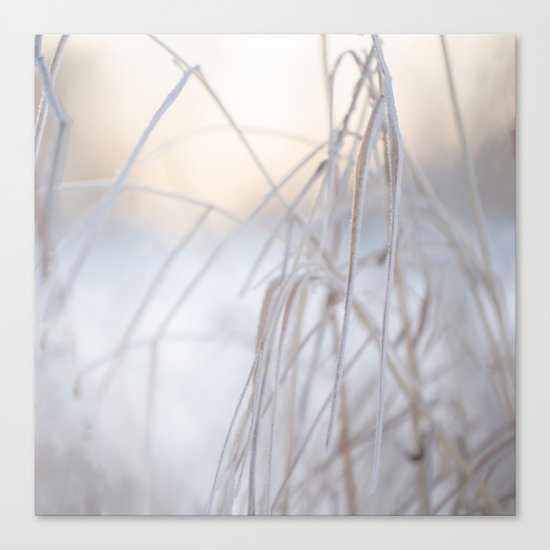 Beautiful Winter Morning Canvas Print