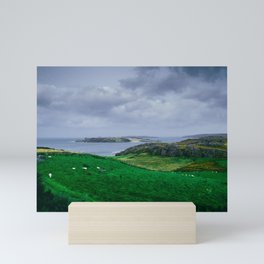 A field in Scotland 2 Mini Art Print