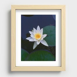 Water Lily Recessed Framed Print