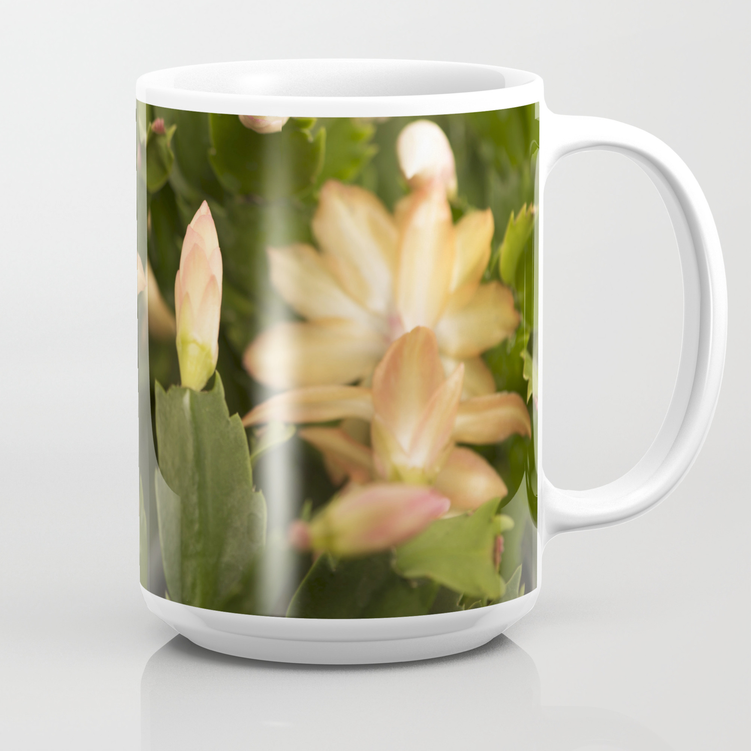 Christmas Cactus Buds And Blooms Coffee Mug By Floatingpetals Society6