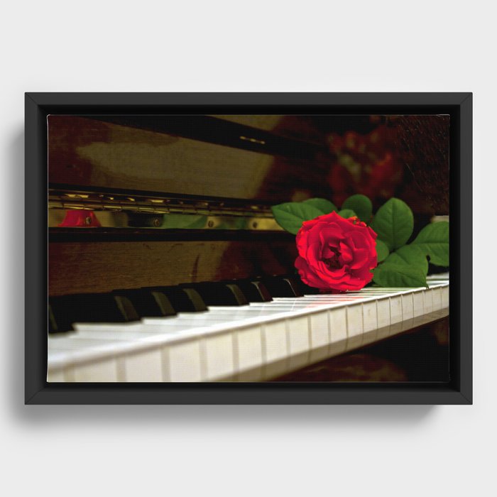 ROMANTIC RED ROSE FLOWER ON PIANO Framed Canvas