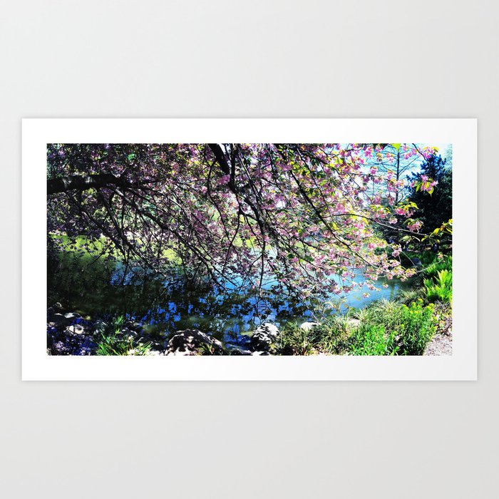 Walk Along the Cherry Blossoms Art Print