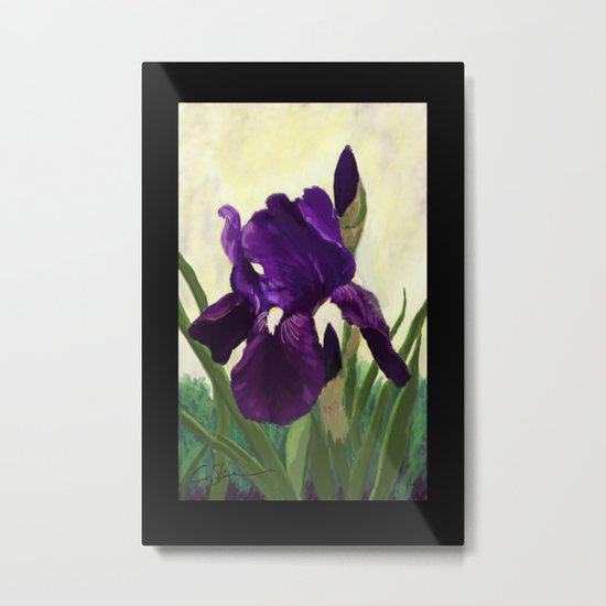 Purple Iris DP150530 Metal Print