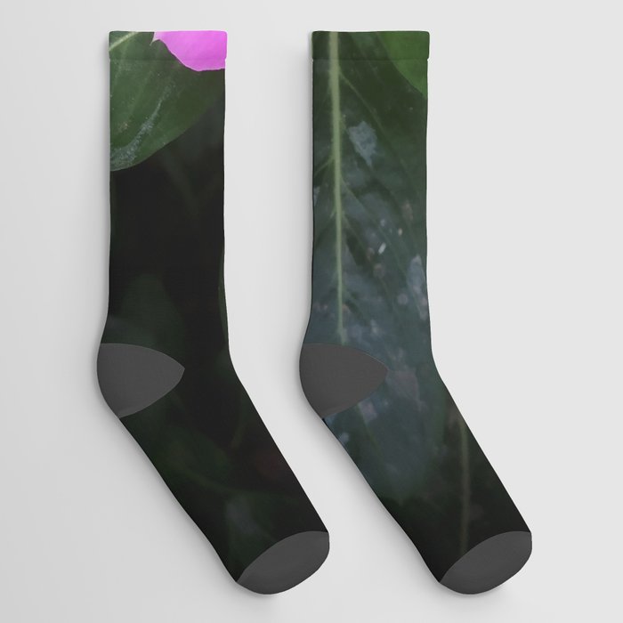 Floral Vibes Socks