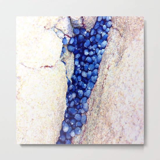 Blue Shells Metal Print