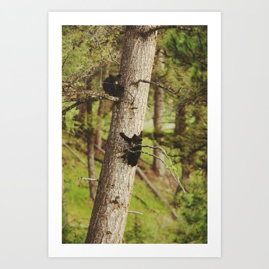 Climbing Cubs Art Print