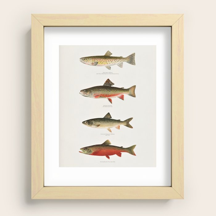 Recessed Framed Print