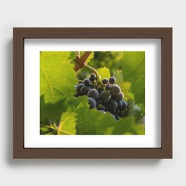 Vineyard Recessed Framed Print