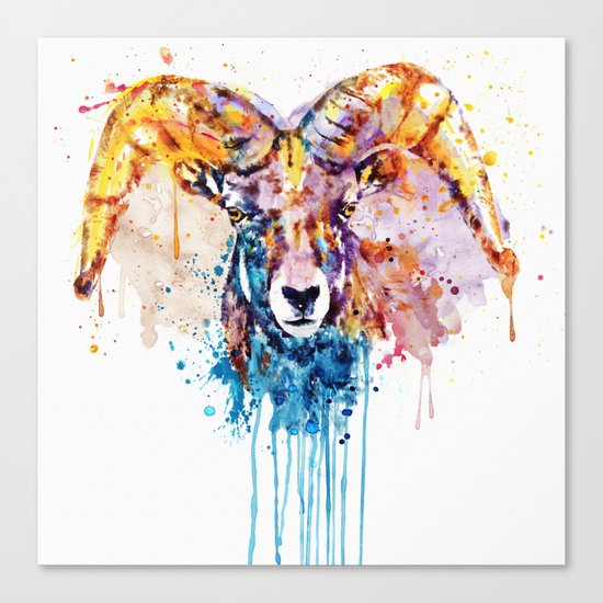 Bighorn Sheep Portrait Canvas Print