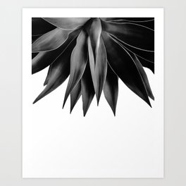 Agave fringe - noir Art Print