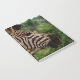 South Africa Photography - A Zebra In The Forest Notebook