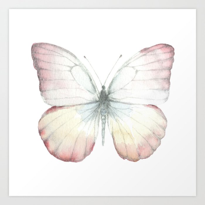 Butterfly - watercolor over pencil Art Print