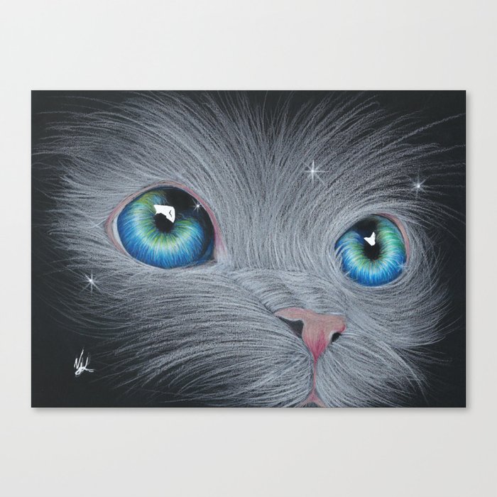 Cat eyes Canvas Print