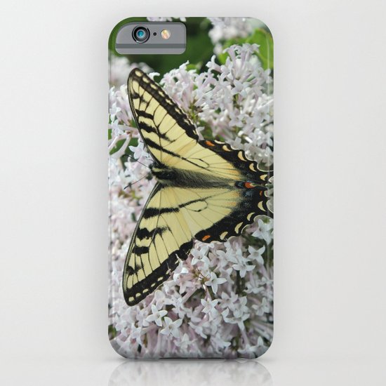 Butterfly Delight iPhone & iPod Case