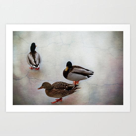 Your walking on thin ice Art Print