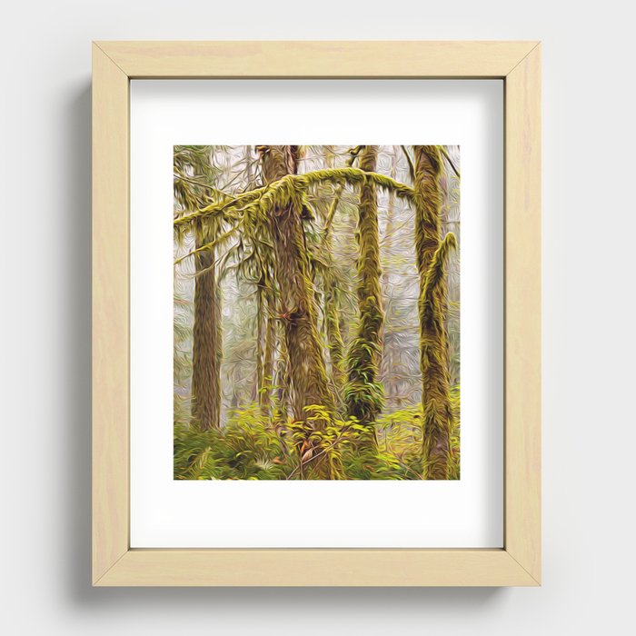 Ferns and Moss, British Columbia, Canada  Recessed Framed Print