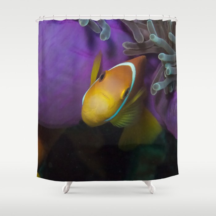 Clownfish and anemone in orange and purple Shower Curtain