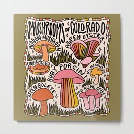 Mushrooms of Colorado Metal Print