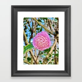 Pink Spiraled Flower Oasis Framed Art Print