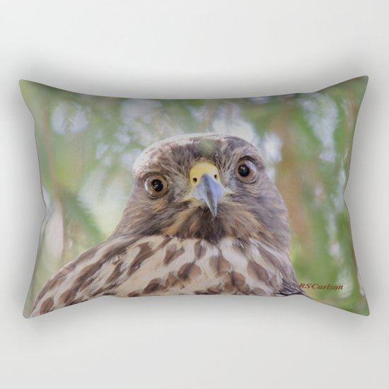 Hawk Eyes in the Willow Rectangular Pillow