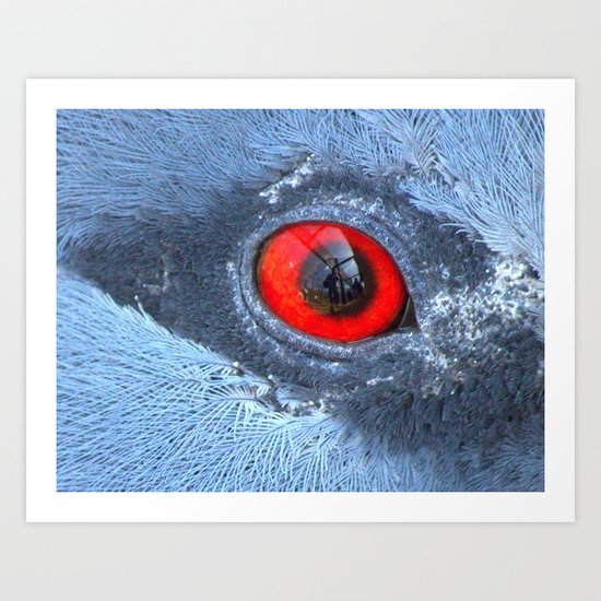 Through an animals eye Art Print