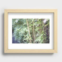 Wild Bamboo Recessed Framed Print