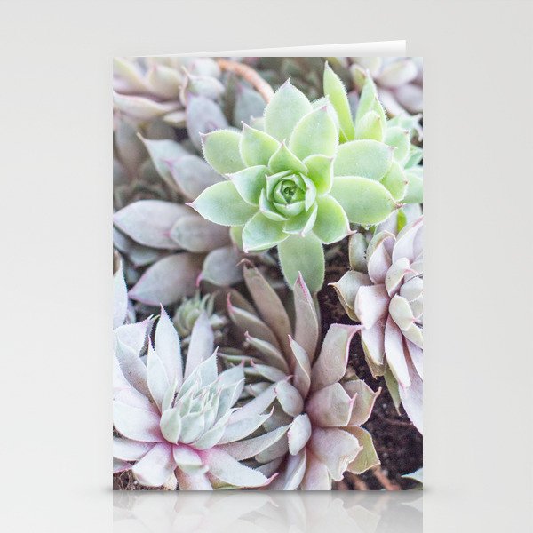 Sea of Succulents Stationery Cards