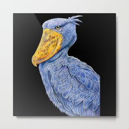 Shoebill Stork Metal Print | Bird, Feathers, Drawing, Birds, Shoebill, Colored Pencil, Whalehead 