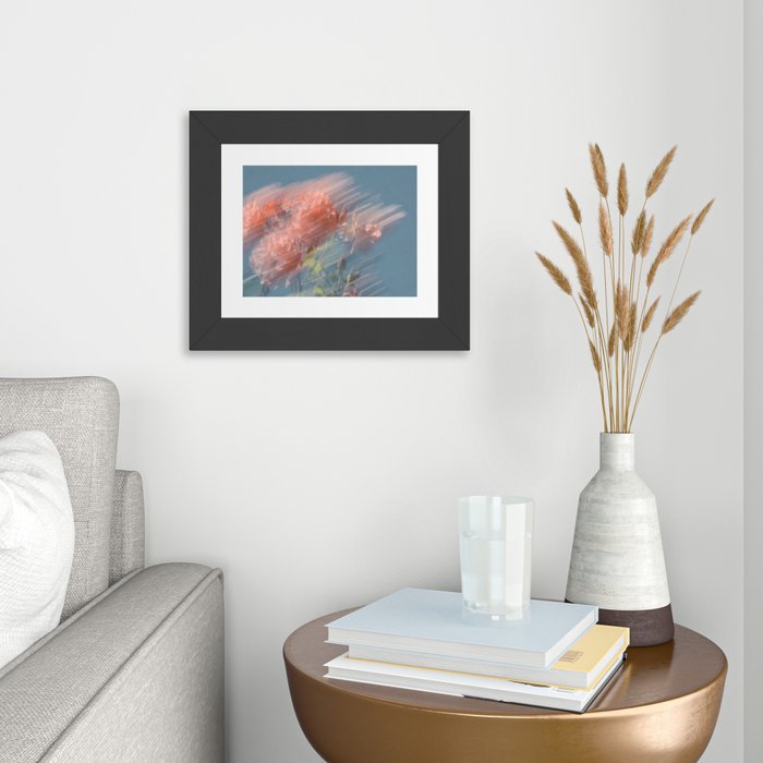 Colorful Flower Photography - Peach Rose Blossoms
