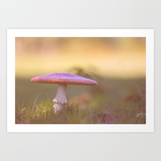 Fly agaric mushroom Art Print