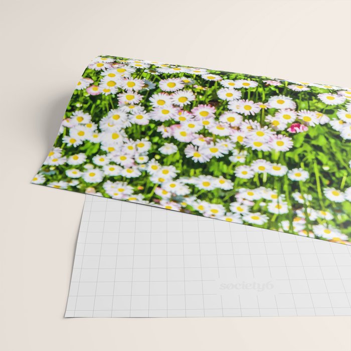 Field of Daisies Wrapping Paper