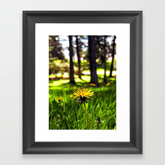 Park dandelion Framed Art Print