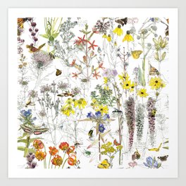 Summer Prairie Flowers Art Print