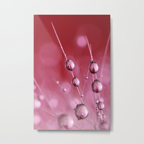 Claret Cactus Drops Metal Print