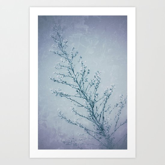 Seeds of Weeds in Vintage Blue Art Print