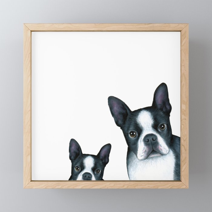 Dog 128 Boston Terrier Dogs black and white Framed Mini Art Print