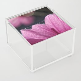 Petals by Denise Dietrich  Acrylic Box