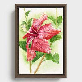 Red Orange Hisbiscus Tropical Flower, watercolor Framed Canvas
