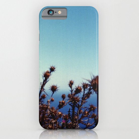 Sun-Bleached Blossom iPhone & iPod Case